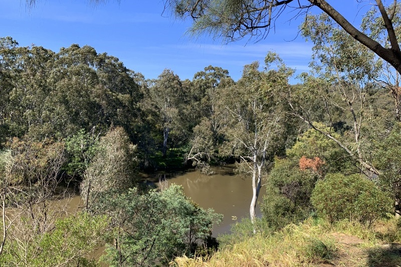 Year 10 Health Excursion: Yarra Bend Park